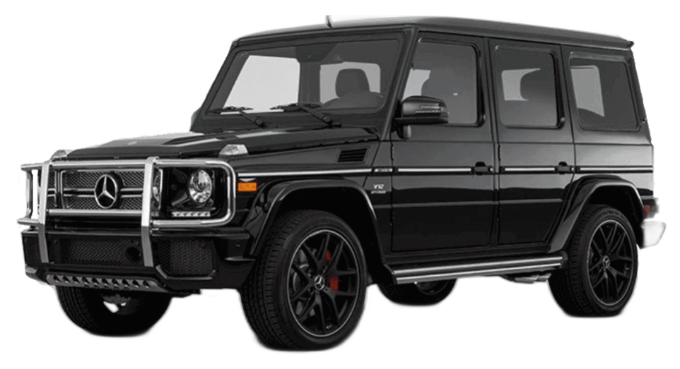 Before Wrap | Dynamic Auto Custom